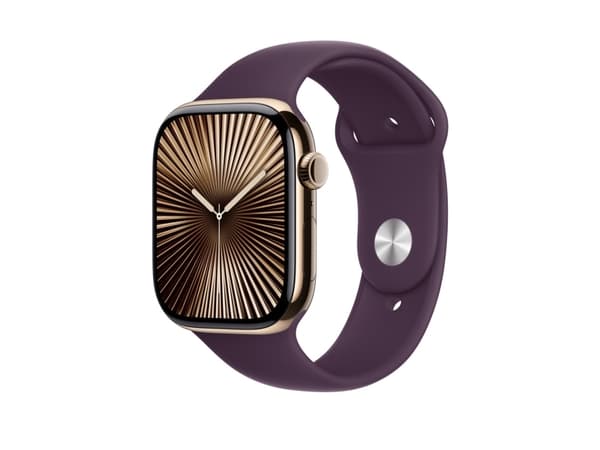Apple - Band för smart klocka - 46mm - M/L (passar handleder på 160 - 210 mm) - plommon
