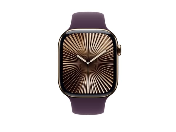 Apple - Band för smart klocka - 46mm - M/L (passar handleder på 160 - 210 mm) - plommon