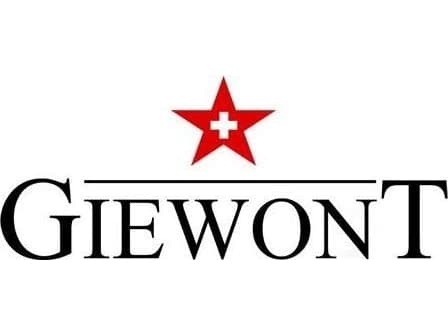 Smartband Giewont GW200-9 Sort