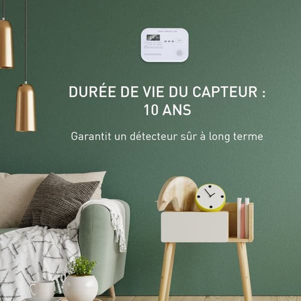 Grundig Kolmonoxid Detektor