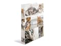 Miniatyrbilde 1 av 5: HERMA -