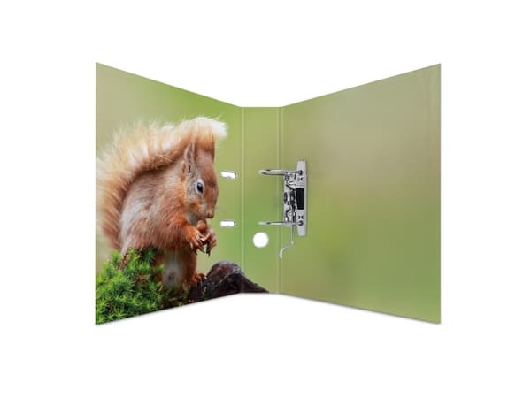 HERMA 7202 - A4 - Oppbevaring - Kartong - Flerfarget - 7cm - 285mm