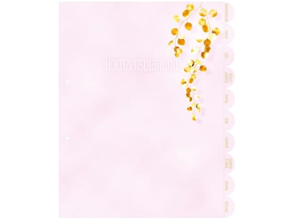 HERMA 15421, A4, Kartong, Rosa, 6 cm, 330 mm, 315 mm