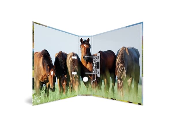 HERMA 19251, A4, D-ring, Oppbevaring, Fotoark kartong, Flerfarget, 7 cm