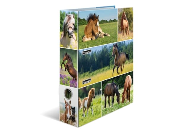 HERMA 19251, A4, D-ring, Oppbevaring, Fotoark kartong, Flerfarget, 7 cm