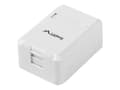 Pikkukuva 1 / 5: Lanberg OK1-0001-W, Cat6, 10/100/1000Base-T(X), Valkoinen, 42,1 mm, 60,1 mm, 26,4 mm