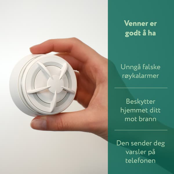 Frient - Smart Intelligent Heat Alarm