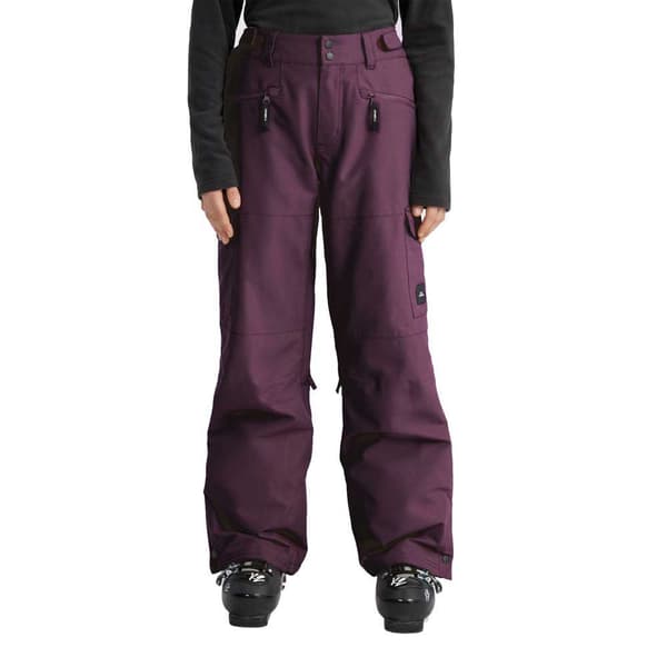 O´neill Utility Pro Loose Housut Violetti XL Nainen