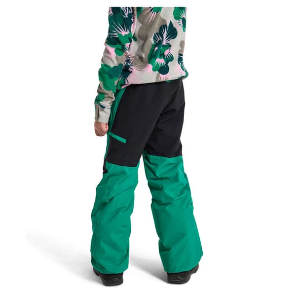 Burton Skylar 2l Byxor Grönt 14-16 Years Pojke
