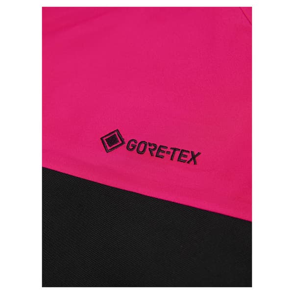 Peak Performance Gravity Goretex 3l Byxor Rosa S Kvinna