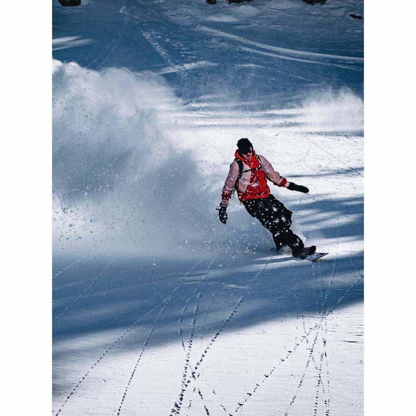 Ride Kvinde Bestyrelse Deep Fake Sort 151