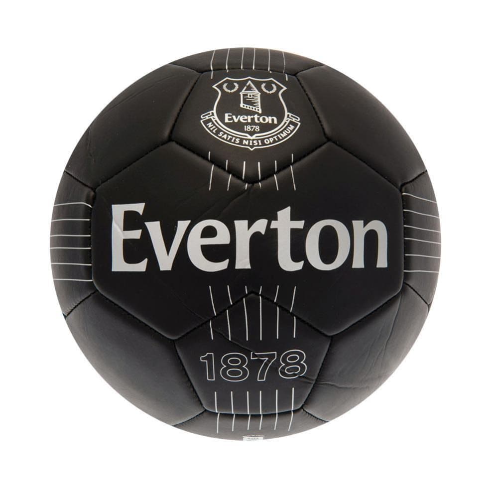 Everton FC Skill Ball