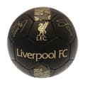 Miniatyrbilde 1 av 3: Liverpool FC Phantom Signature Football
