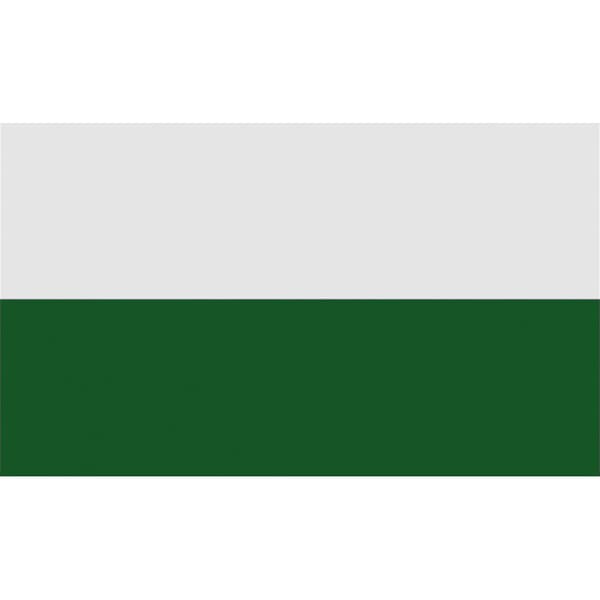 Carta Sport Hjørneflag
