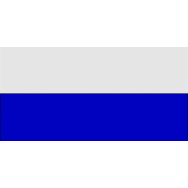 Carta Sport Hjørneflag White/Royal Blue 29.5cm x 36.5cm