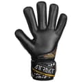 Pikkukuva 1 / 4: Reusch Maalivahtihanskat Attrakt Silver Nc Finger Support  10