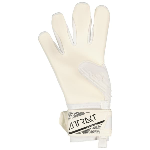 Reusch Attrakt Freegel Silver Unai Målmandshandsker  8.5