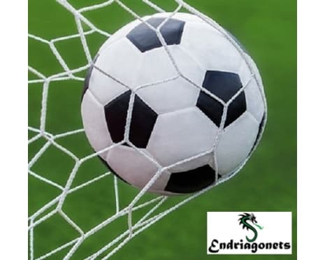 Fotbollsnät 5x2m  7-manna vit