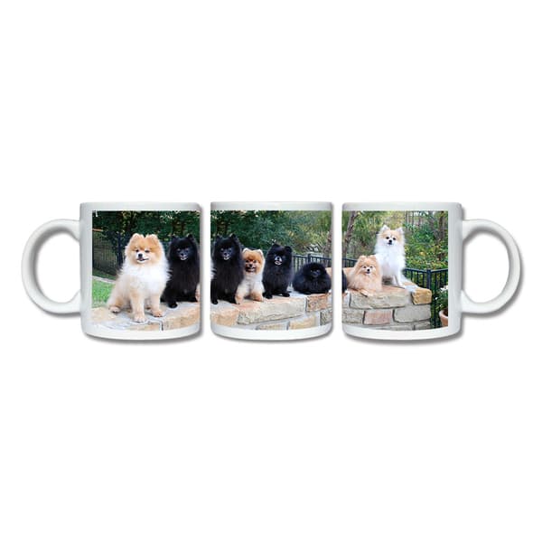 Hund Pomeranian Krus