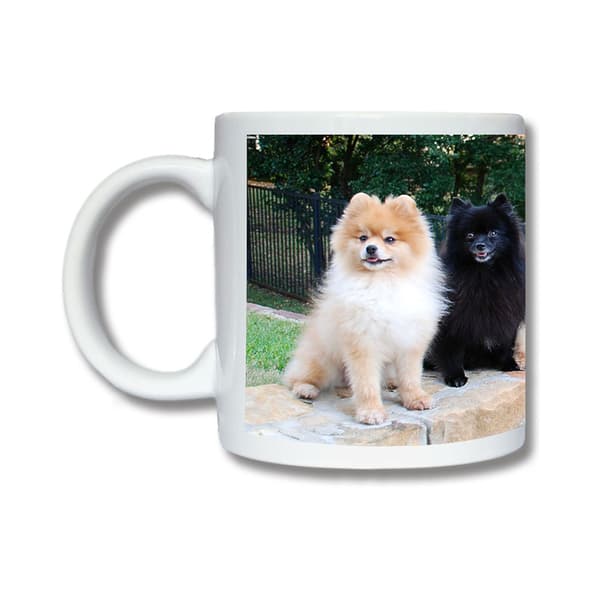 Hund Pomeranian Krus