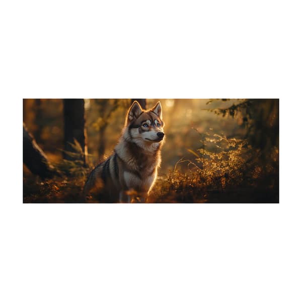 Hund Siberian Husky Krus