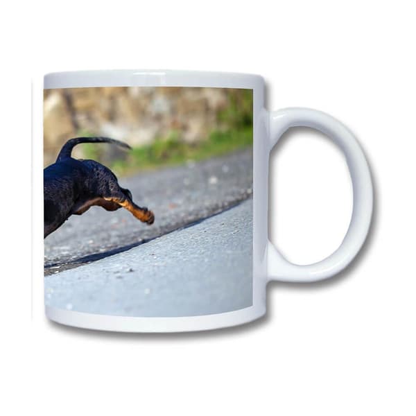Hund Tax Krus