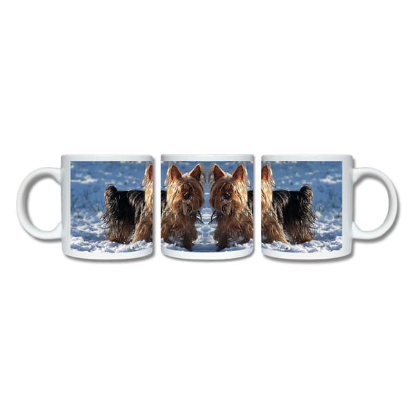 Yorkshireterrier Krus