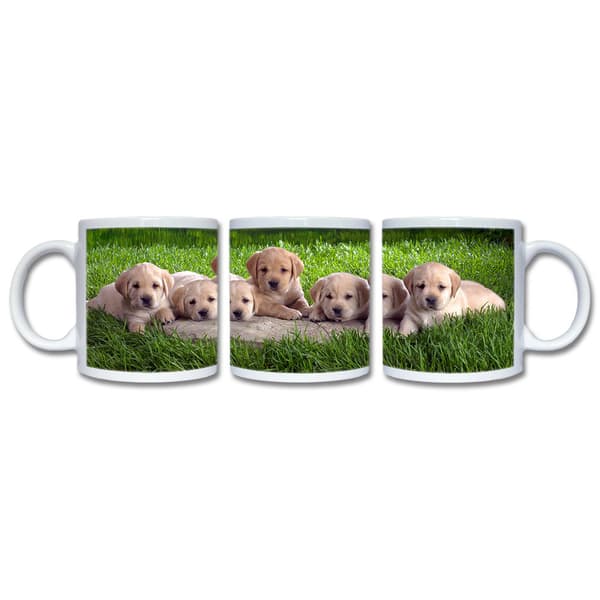 Labrador Valpar Mugg