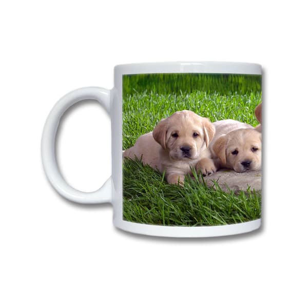Labrador Valpar Mugg