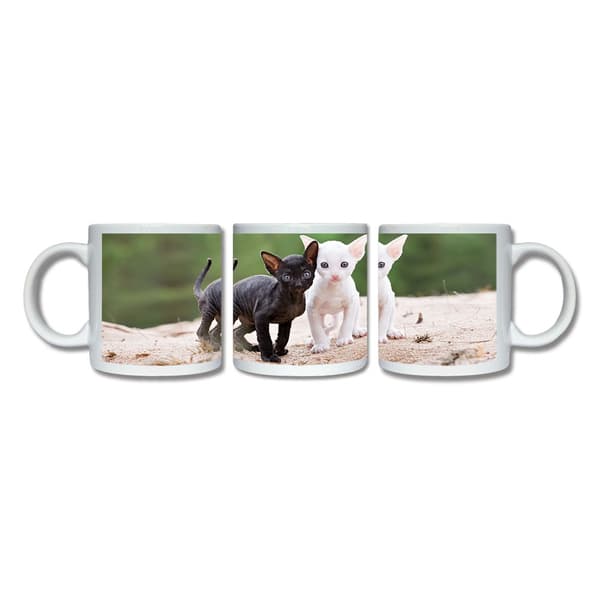Devon Rex Katter Mugg