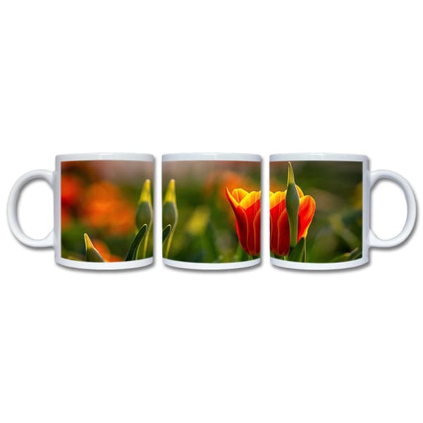 Tulip Muki