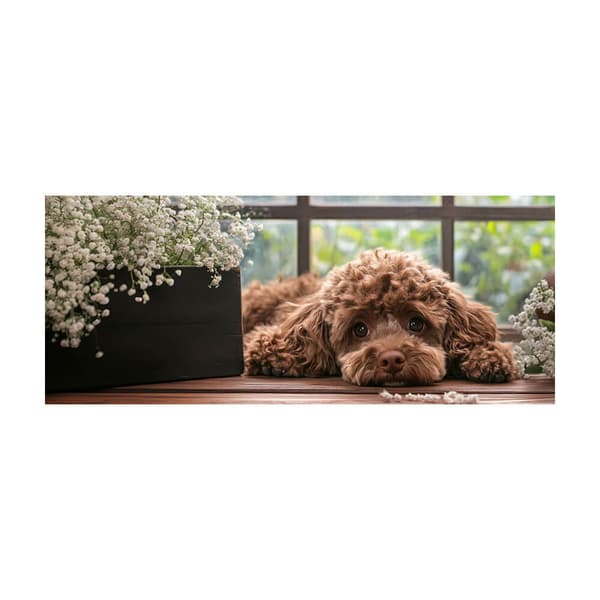 Hund Puddel Krus