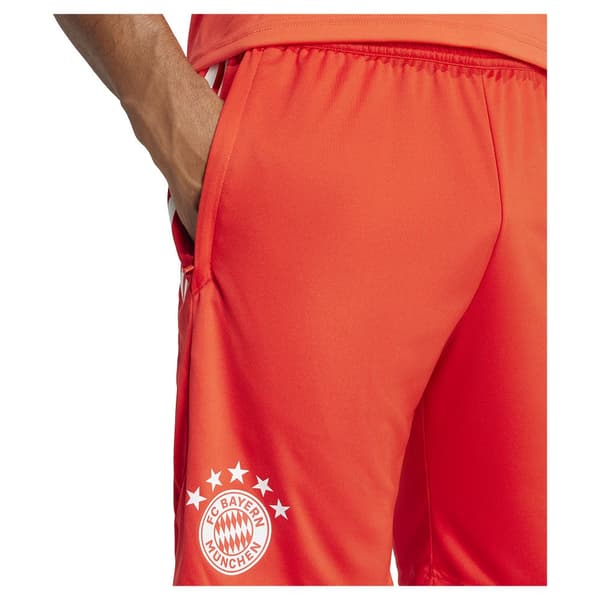 Adidas Shortsit Koulutus Bayern Munich 23/24 Oranssi L