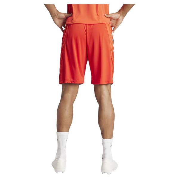 Adidas Shortsit Koulutus Bayern Munich 23/24 Oranssi L