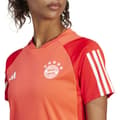 Miniatyrbild 4 av 5: Adidas Kortärmad T-shirt Träning Bayern Munich 23/24 Orange XL