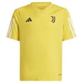 Pikkukuva 1 / 5: Adidas Nuorten Lyhythihainen T-paita Koulutus Juventus 23/24 Keltainen 5-6 Years