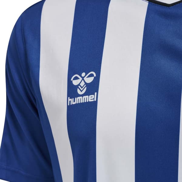 Hummel Kortärmad T-shirt Core Xk Striped Blå M Man