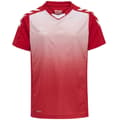 Miniatyrbillede 1 af 4: Hummel Kortærmet T-shirt Core Xk Sublimation Rød 14 Years Dreng