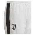 Miniatyrbillede 3 af 5: Adidas Præsentation Af Juniorbukser Juventus 23/24 Hvid 9-10 Years