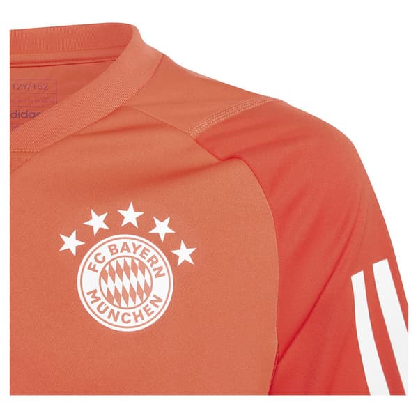 Adidas Junior Kortärmad T-shirt Träning Bayern Munich 23/24 Orange 13-14 Years