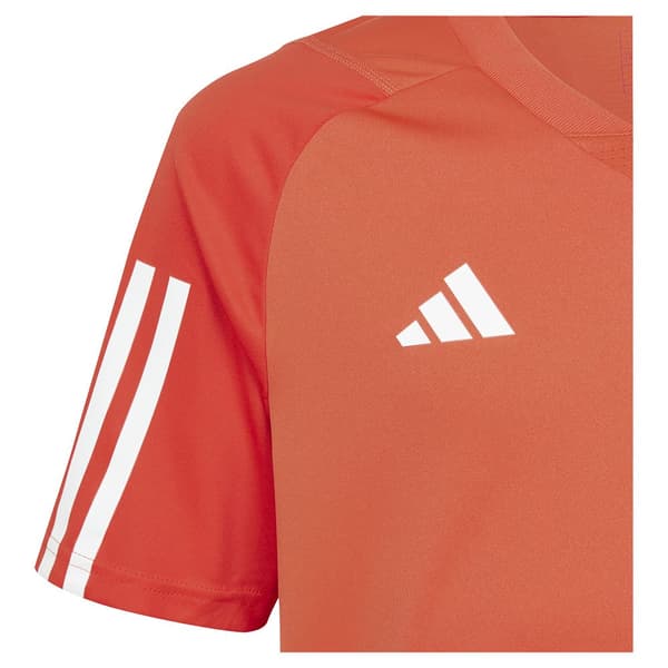 Adidas Junior Kortärmad T-shirt Träning Bayern Munich 23/24 Orange 13-14 Years