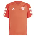Miniatyrbild 1 av 5: Adidas Junior Kortärmad T-shirt Träning Bayern Munich 23/24 Orange 13-14 Years
