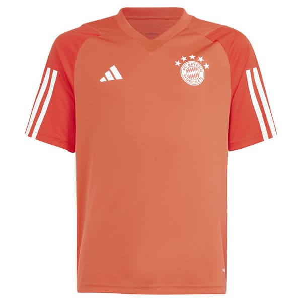Adidas Nuorten Lyhythihainen T-paita Koulutus Bayern Munich 23/24 Oranssi 15-16 Years