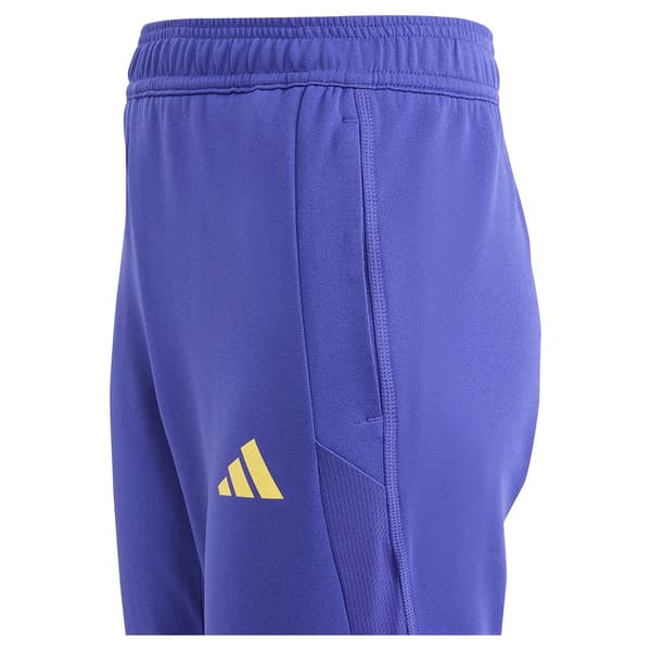 Adidas Nuorten Verryttelyhousujen Koulutus Real Madrid 23/24 Violetti 11-12 Years