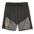 Miniatyrbild 1 av 2: Puma Shorts Valencia Cf Grå 9-10 Years