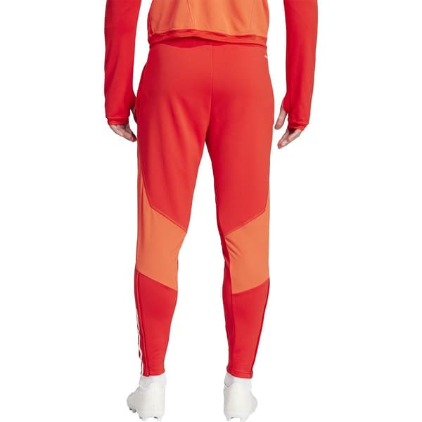 Adidas Træningsdragt Bukser Træning Bayern Munich 23/24 Orange S