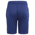 Miniatyrbillede 2 af 5: Adidas Junior Shorts Træning Italy 23/24  13-14 Years