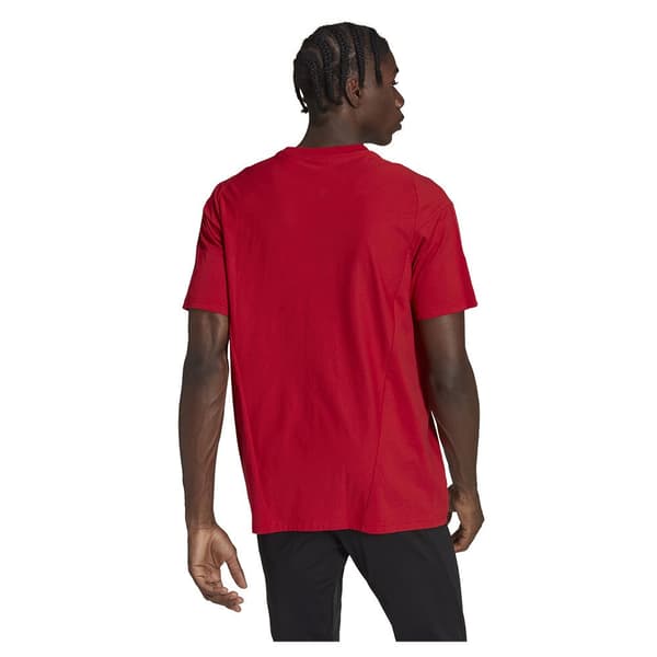 Adidas Kortärmad T-shirt Hi3051 XL / Regular Man