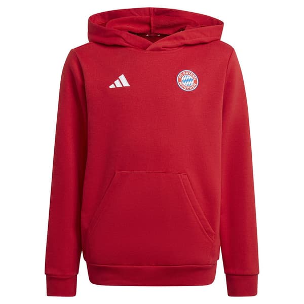 Adidas Hættetrøje Fc Bayern Munich 24/25  15-16 Years