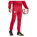Miniatyrbild 4 av 6: Adidas Byxor Fc Bayern Munich Dna 24/25  XL
